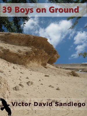cover image of 39 Boys on Ground